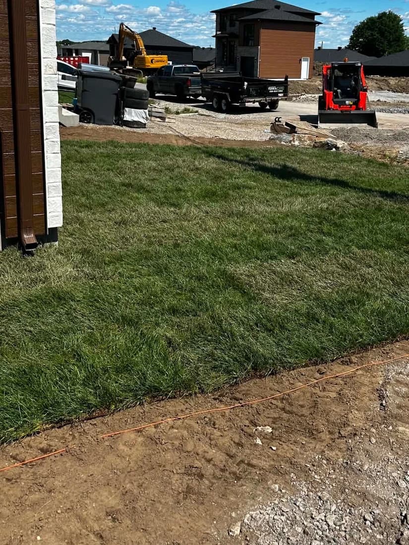 Bande de gazon posée le long d'une maison neuve, chantier de développement en arrière-plan.