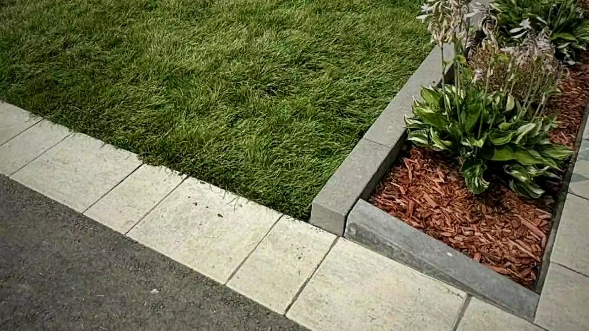 Détail d'une bordure de béton posée au niveau, avec sa plate-bande paillée.